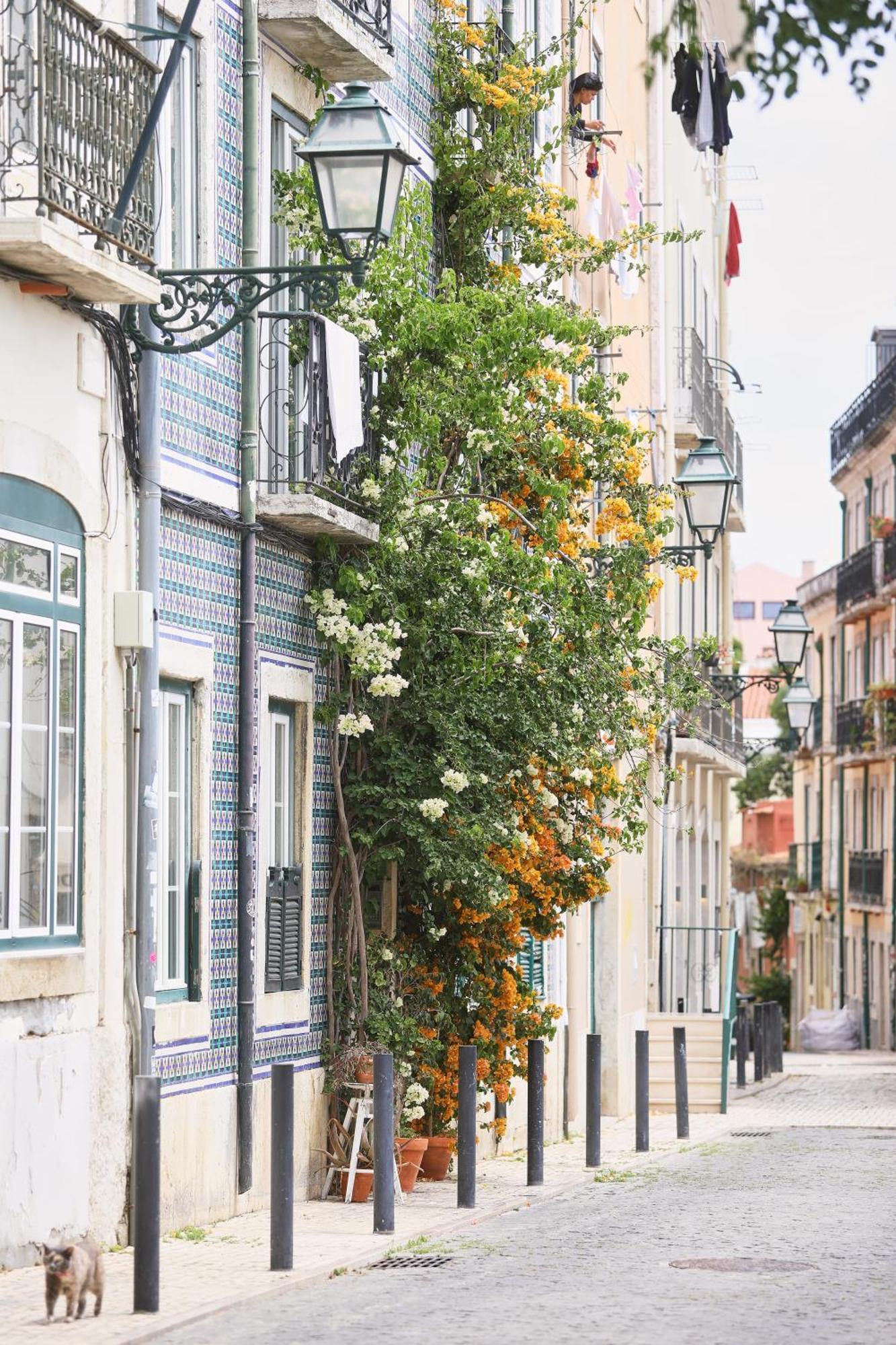 Bica Little House By Spoton Apartments Lisboa Phòng bức ảnh